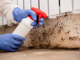 Best Black Mold Removal  in White Knoll, SC